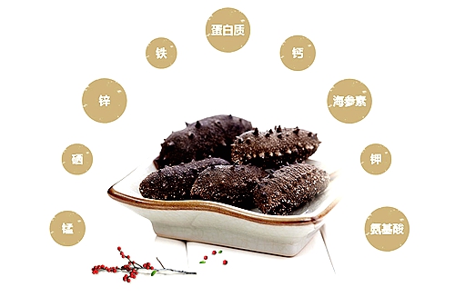 煙臺海參批發(fā)之骨片的學(xué)問