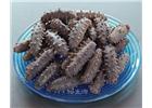海參是所有的都有營(yíng)養(yǎng)嗎