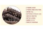 海參的清淡吃法都有那些？